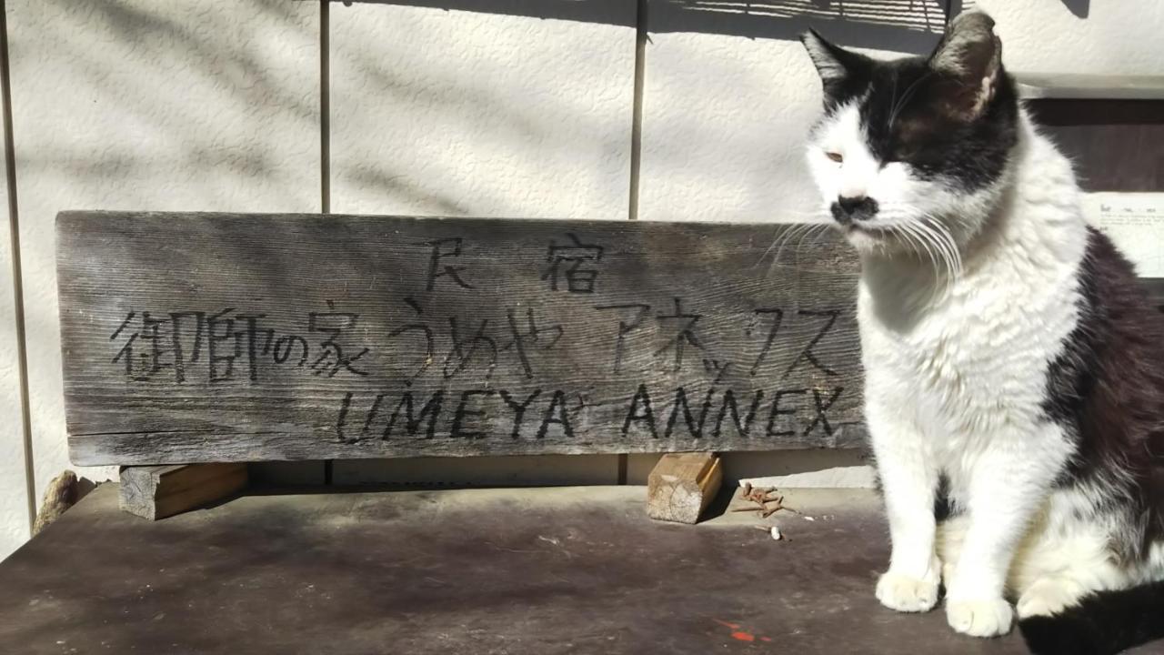 Umeya Annex Pensionat Fujikawaguchiko Eksteriør billede